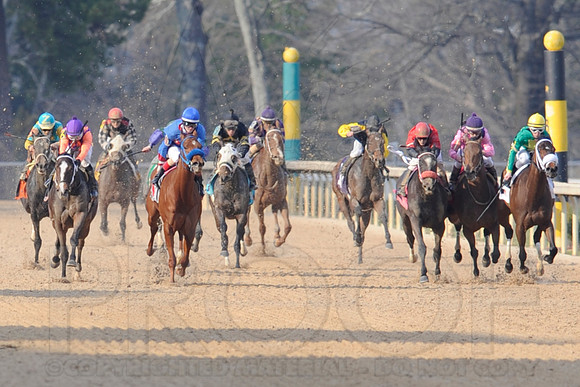 Honeybee Stakes (Grade III) 3-8-2014 (© Justin Manning) JWM_1393