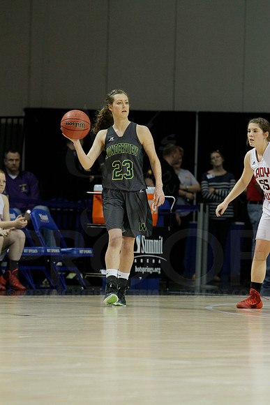1A Girls State Finals-Nemo Vista vs. Wonderview 3-14-2014 (© Justin Manning) JWM_0058