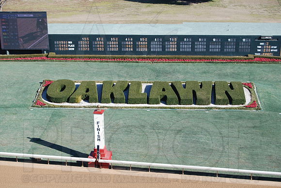 Smarty Jones Stakes 01-20-14 (©Justin Manning) JWM_0064