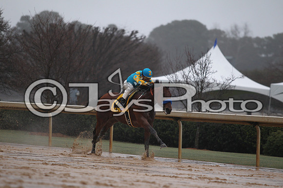 Oaklawn (Rebel Stakes Day) 3-14-2015 (©Justin Manning) JWM_353