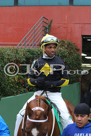 50th Running Southwest Stakes (Grade III) 2-22-2015 (©Justin Manning) JWM_057
