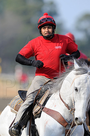 Honeybee Stakes (Grade III) 3-8-2014 (© Justin Manning) JWM_1381