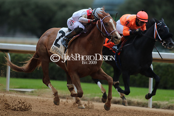 z250104_MockingbirdStakes _JWM_0598
