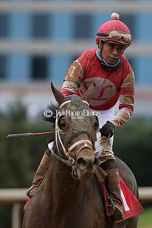 z210123_Fifth Season Stakes_Manning_0069