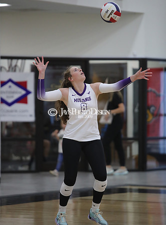 Harmony Grove vs. Central Arkansas Christian (3A Volleyball South Regional Tournament) 10-23-24_JWM_0568