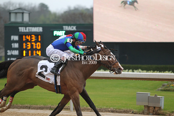z200217_SouthwestStakesDay_Manning_0521