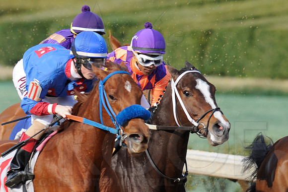 Honeybee Stakes (Grade III) 3-8-2014 (© Justin Manning) JWM_1365