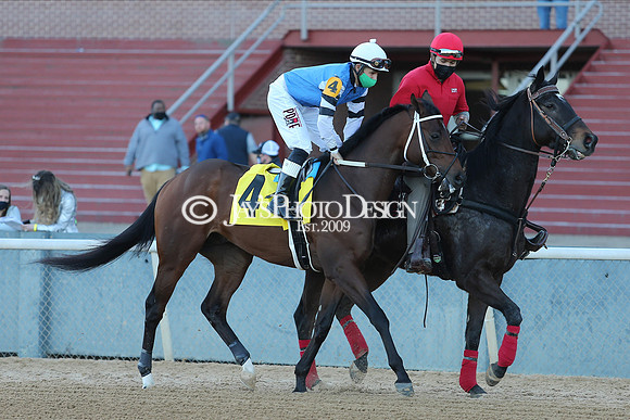 z210122_SmartyJonesStakesDay_Manning_0419
