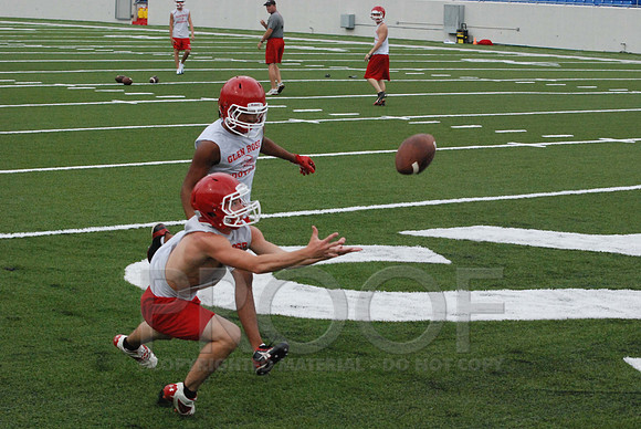 Senior WR- Daniel Lankford2.jpg