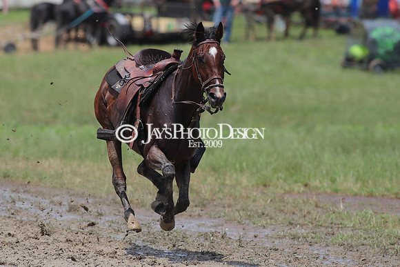 Whiskey Ridge Ranch (Chuckwagon Races) 5-25-24_JWM_0552