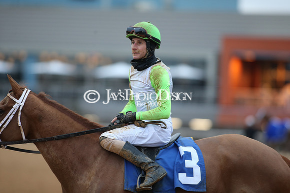 z210123_Pippin Stakes_Manning_0372