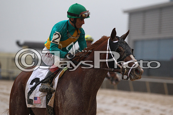 Oaklawn (Rebel Stakes Day) 3-14-2015 (©Justin Manning) JWM_396
