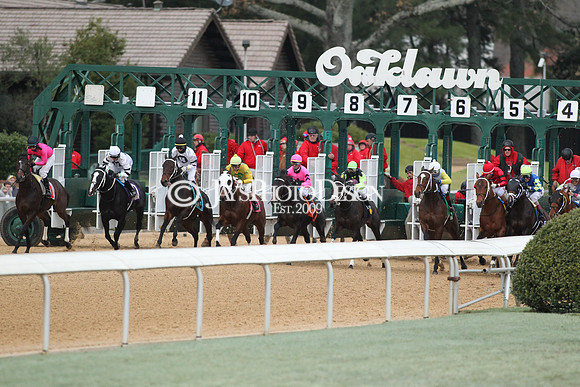 z190218_SouthwestStakesDay_Manning_1262
