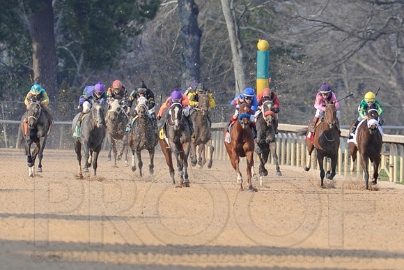Honeybee Stakes (Grade III) 3-8-2014 (© Justin Manning) JWM_1386