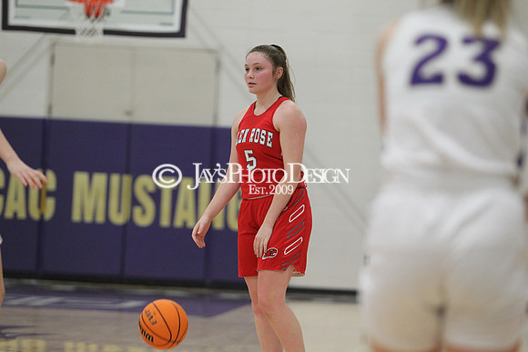 Glen Rose @ Central Arkansas Christian 1-3-20_0153
