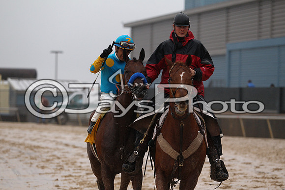 Oaklawn (Rebel Stakes Day) 3-14-2015 (©Justin Manning) JWM_402