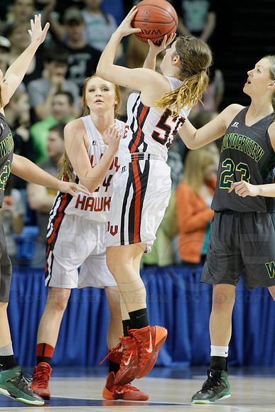 1A Girls State Finals-Nemo Vista vs. Wonderview 3-14-2014 (© Justin Manning) JWM_0188