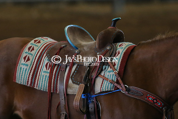 SJRA rodeo 1-24-21_JWM_0001
