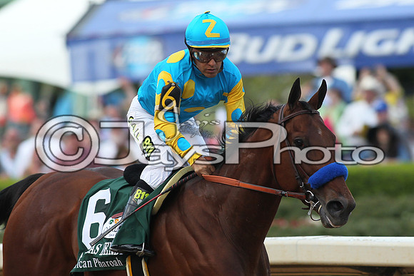 Arkansas Derby Day 4-11-2015 (©Justin Manning) JWM_2607