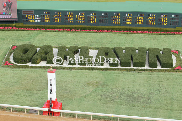z190125_SmartyJonesStakesDay_Manning_0024