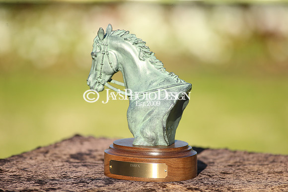 z220319_WhitmoreStakesday_Manning_0780