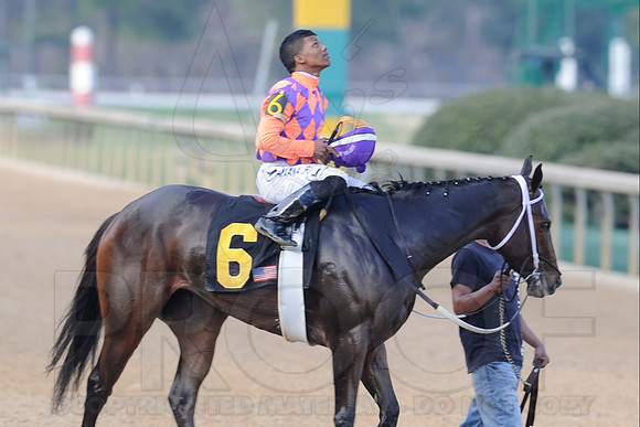 Honeybee Stakes (Grade III) 3-8-2014 (© Justin Manning) JWM_0827