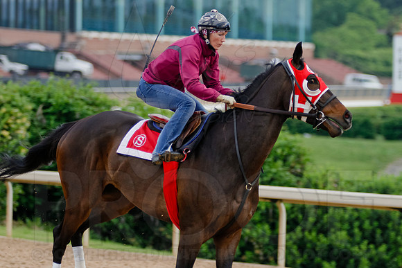 Morning Workouts (Arkansas Derby)5