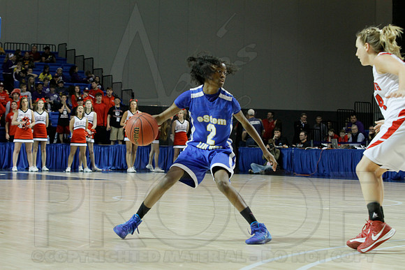 3A Girls State Finals-Harding Academy vs. eStem 3-14-2014 (© Justin Manning) JWM_0115