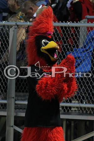 Bismarck @ Harmony Grove 10-2-2015 (©Justin Manning) JWM_0233