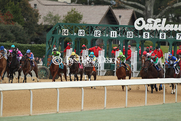 z190218_SouthwestStakesDay_Manning_736