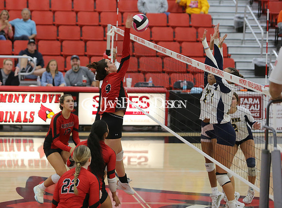 Wynne @ Harmony Grove 10-8-24_JWM_0149