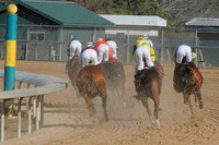 Oaklawn Park (Scenery) 1-26-14 (©Justin Manning) JWM_0035