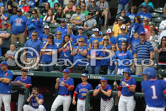 4A State Baeball Finals Arkadelphia vs. Star City 5-22-2015 (©Justin Manning) JWM_0532