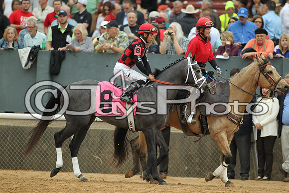 Southwest Stakes (GradeIII) 2-20-17_JWM00828