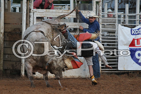 Bull Bash (Brickfest) 6-27-2015 (©Justin Manning) JWM_0571