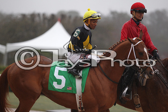 Oaklawn (Rebel Stakes Day) 3-14-2015 (©Justin Manning) JWM_254
