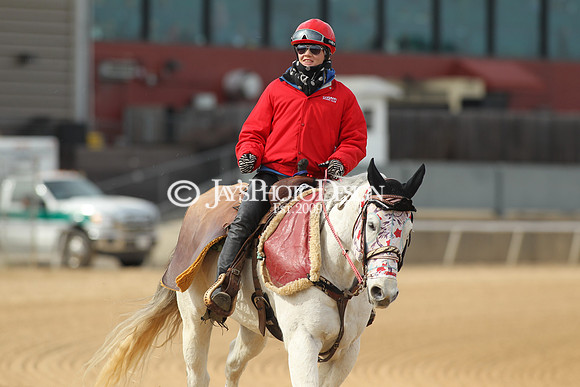 z190218_SouthwestStakesDay_Manning_035