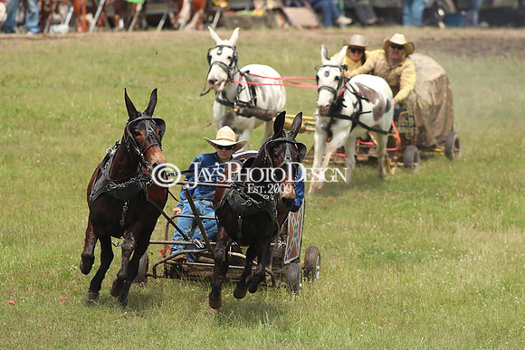 Whiskey Ridge Ranch (Chuckwagon Races) 5-25-24_JWM_0833