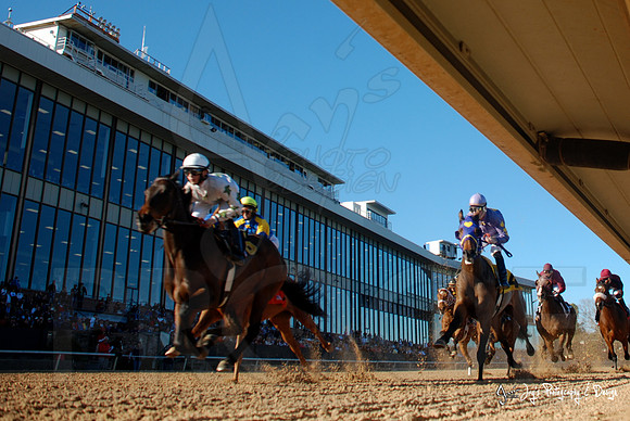 Oaklawn-16
