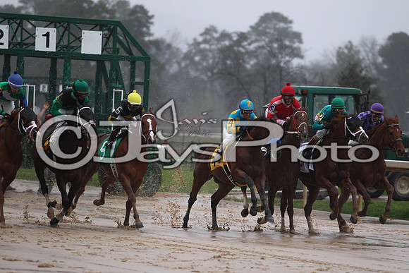 Oaklawn (Rebel Stakes Day) 3-14-2015 (©Justin Manning) JWM_327