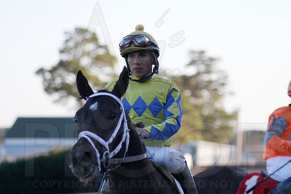 Oaklawn 1-21-13 (Smarty Jones Stakes) (Justin Manning)0227