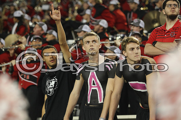 Louisiana @ Arkansas State 10-19-17_JWM00395