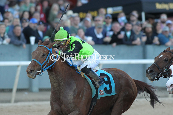 z190316_EssexStakes_Manning_0220