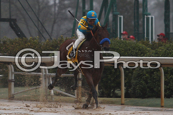 Oaklawn (Rebel Stakes Day) 3-14-2015 (©Justin Manning) JWM_350