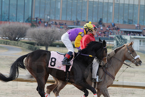 Oaklawn Park (Scenery) 1-26-14 (©Justin Manning) JWM_0122