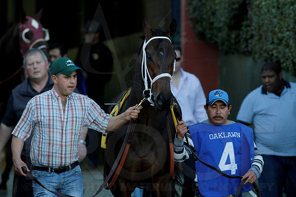 Smarty Jones Stakes 01-20-14 (©Justin Manning) JWM_0207