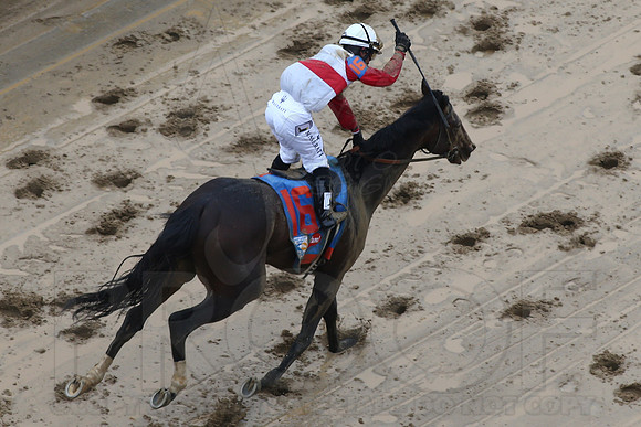 139th Running of the Kentucky Derby 2013 5-4-13 (© Justin Manning) JWM0666
