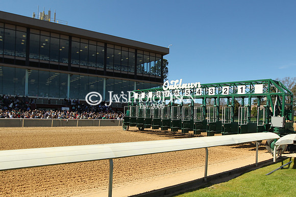 z190316_RebelStakesDay_Manning_0064