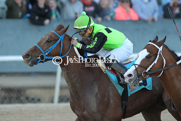 z190316_EssexStakes_Manning_0228