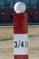 Oaklawn Park (Scenery) 1-26-14 (©Justin Manning) JWM_0066